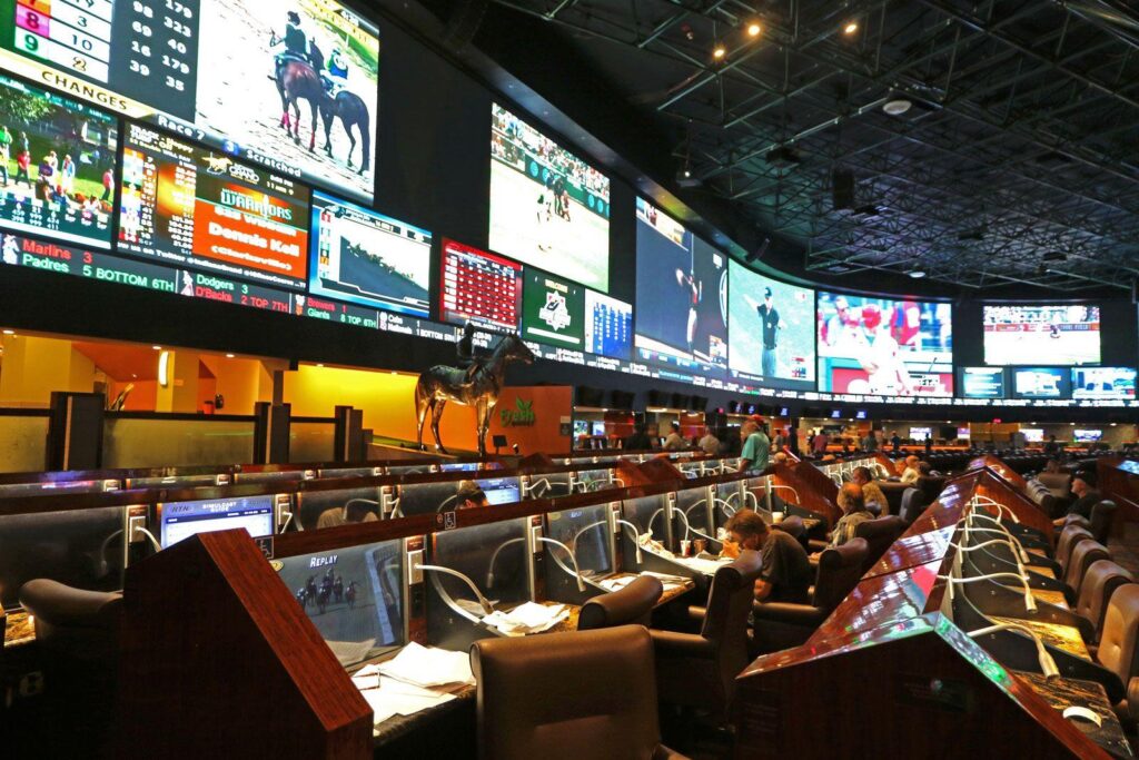 Soccer betting software