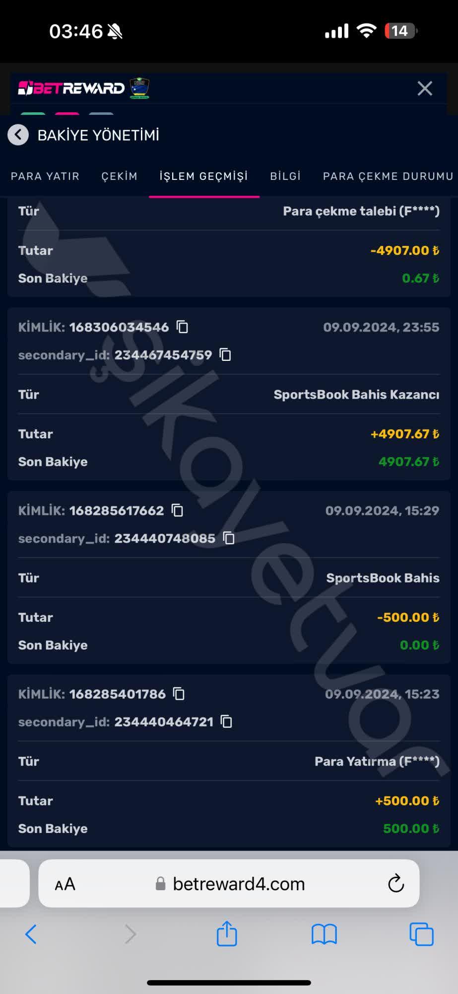 Kullanıcı Deneyimi ve Performans Analizi